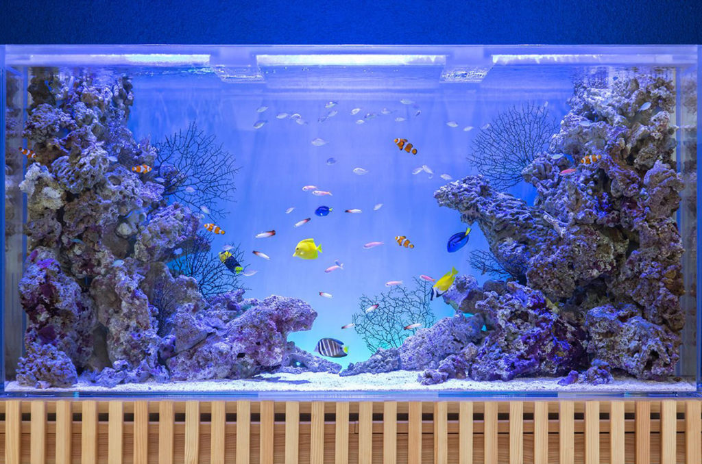 Local_Contents-Image-18-